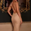 Bellara Metallic Lace Plunge-Neck Backless Midaxi Klänning i guld Bellara Metallic Lace Plunge-Neck Backless Midaxi Klänning i guld