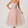 Cindy Tulle Corset Midaxi-klänning i Dusty Rose Cindy Tulle Corset Midaxi-klänning i Dusty Rose