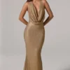 Feyre Embellished Cowl-Neck Backless Gown i guld Feyre Embellished Cowl-Neck Backless Gown i guld