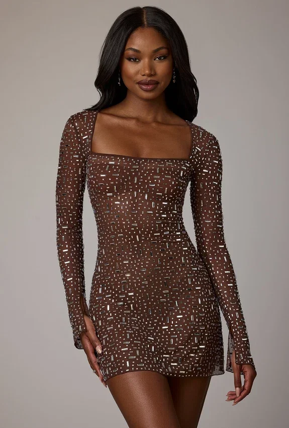 Zeta Sheer Embellished Long Sleeve A-Line Miniklänning i Deep Cocoa Zeta Sheer Embellished Long Sleeve A-Line Miniklänning i Deep Cocoa