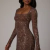 Zeta Sheer Embellished Long Sleeve A-Line Miniklänning i Deep Cocoa Zeta Sheer Embellished Long Sleeve A-Line Miniklänning i Deep Cocoa