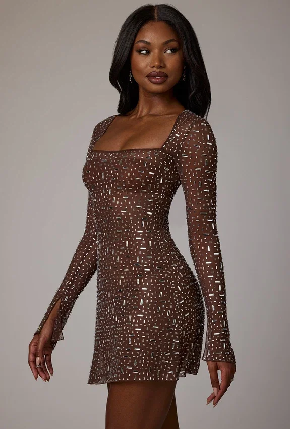 Zeta Sheer Embellished Long Sleeve A-Line Miniklänning i Deep Cocoa Zeta Sheer Embellished Long Sleeve A-Line Miniklänning i Deep Cocoa