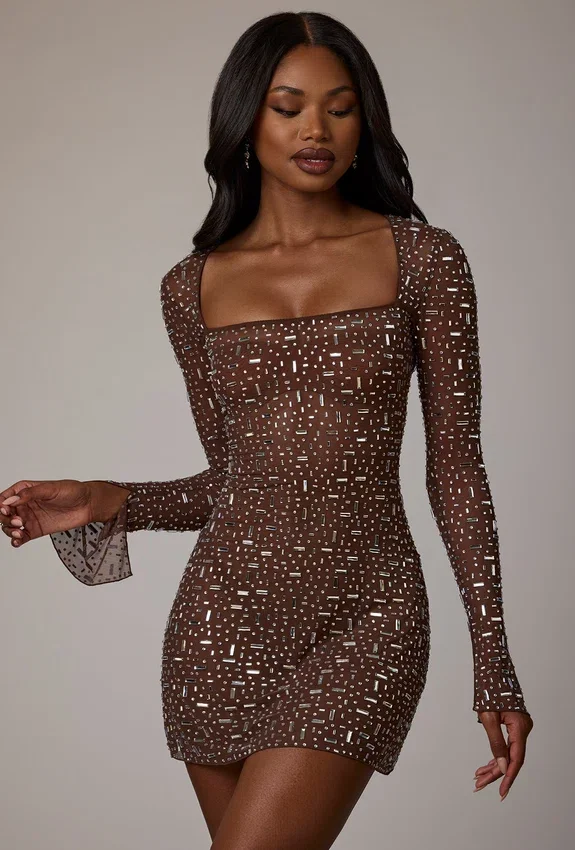 Zeta Sheer Embellished Long Sleeve A-Line Miniklänning i Deep Cocoa Zeta Sheer Embellished Long Sleeve A-Line Miniklänning i Deep Cocoa