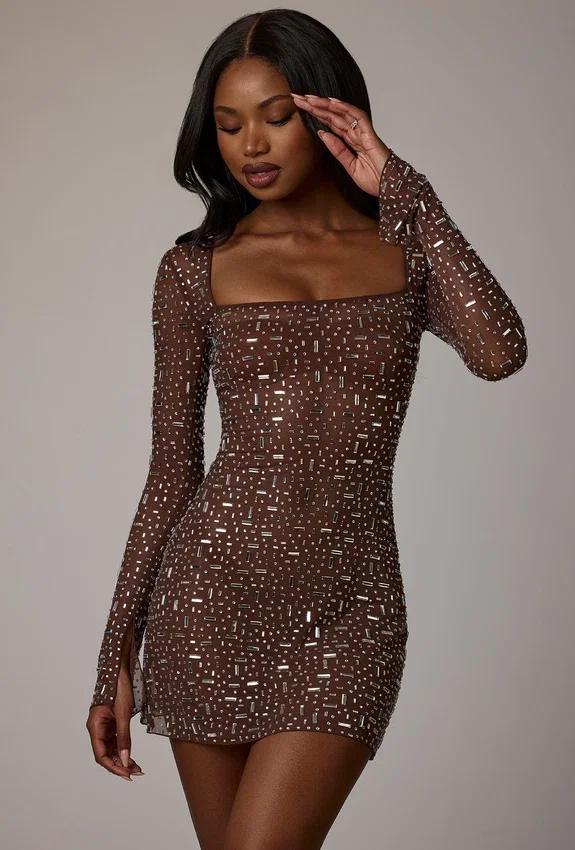Zeta Sheer Embellished Long Sleeve A-Line Miniklänning i Deep Cocoa Zeta Sheer Embellished Long Sleeve A-Line Miniklänning i Deep Cocoa