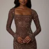 Zeta Sheer Embellished Long Sleeve A-Line Miniklänning i Deep Cocoa Zeta Sheer Embellished Long Sleeve A-Line Miniklänning i Deep Cocoa