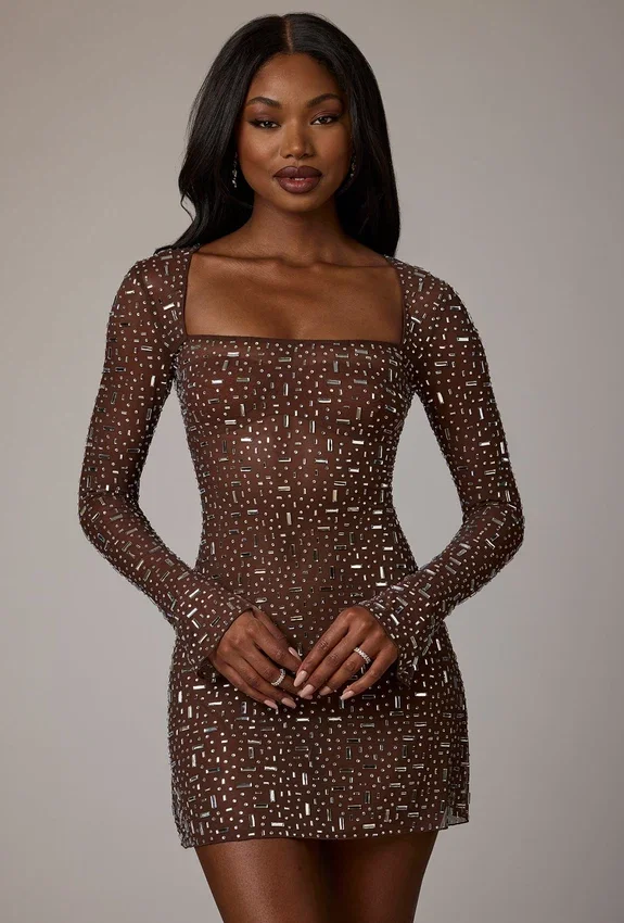 Zeta Sheer Embellished Long Sleeve A-Line Miniklänning i Deep Cocoa Zeta Sheer Embellished Long Sleeve A-Line Miniklänning i Deep Cocoa